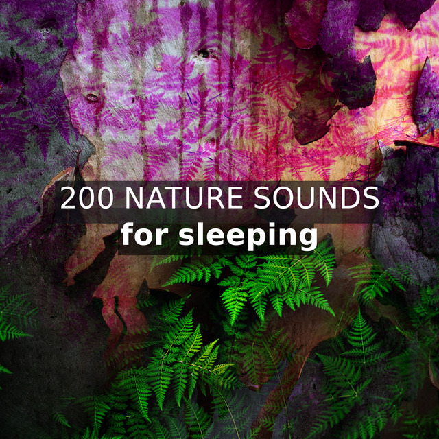 200 Nature Sounds for Sleeping ! ! ! ! - Album by Sleep Sounds of ...
