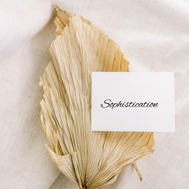 Обкладинка: Sophistication — Lesfm