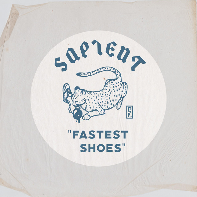 Fastest Shoes cover