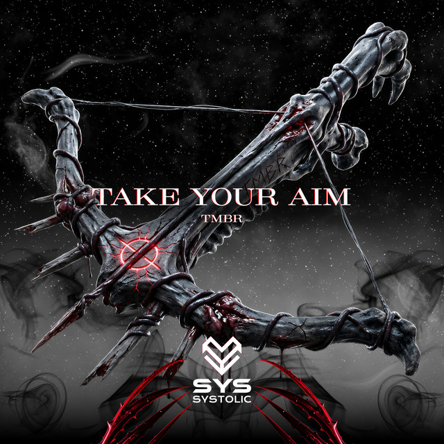 Take Your Aim album art