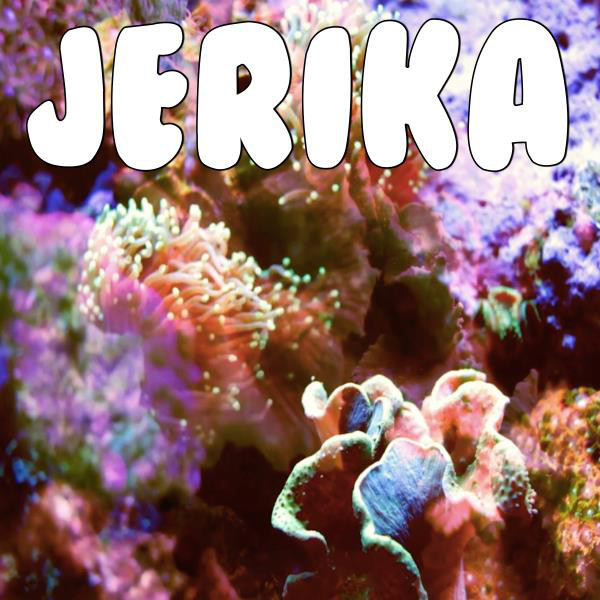 Jerika (Tribute to Jake Paul) cover art
