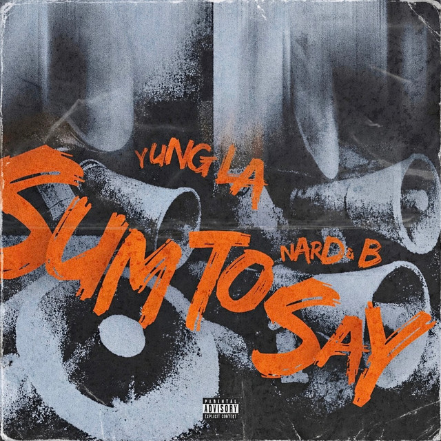 Sum to Say cover art