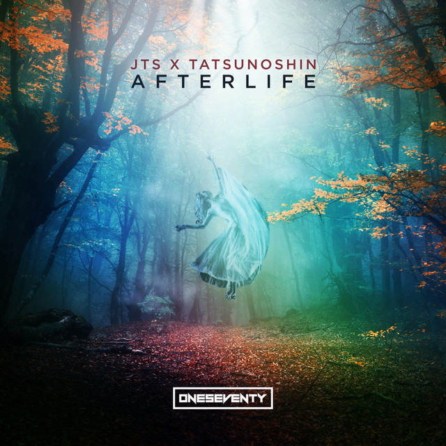 Afterlife - Radio Edit album art