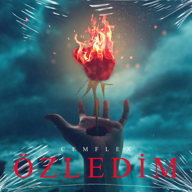 Özledim cover art