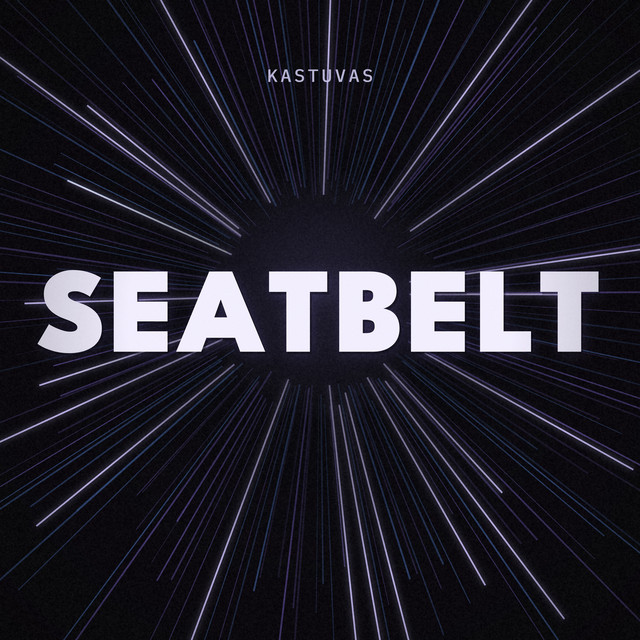 Seatbelt cover
