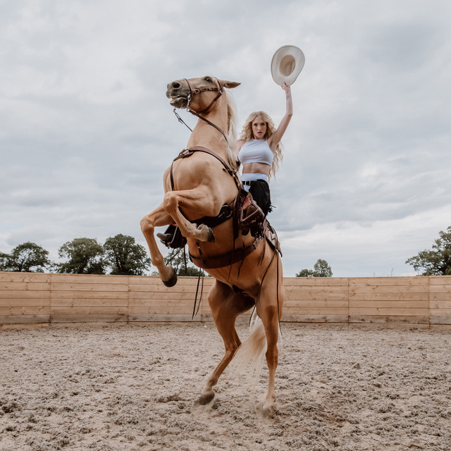 Emotional Rodeo cover art