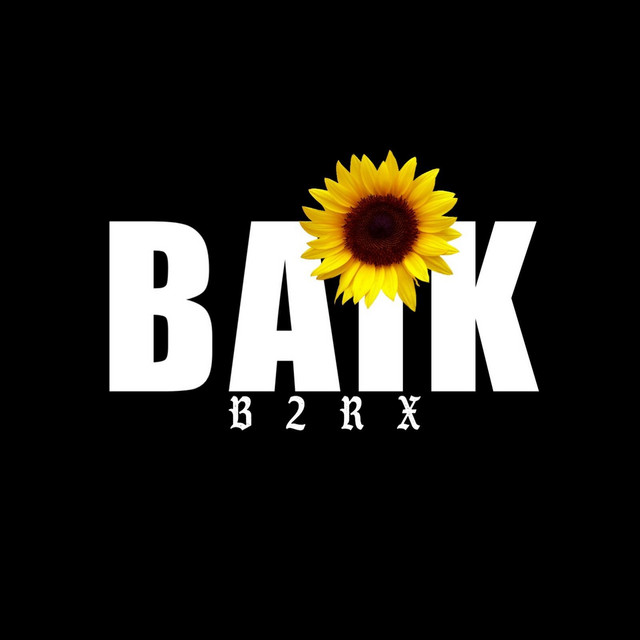 Baik cover art