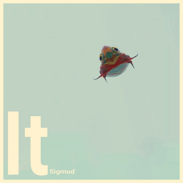 It cover