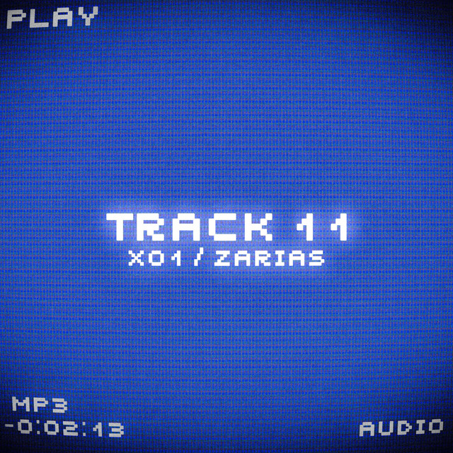 TRACK 11