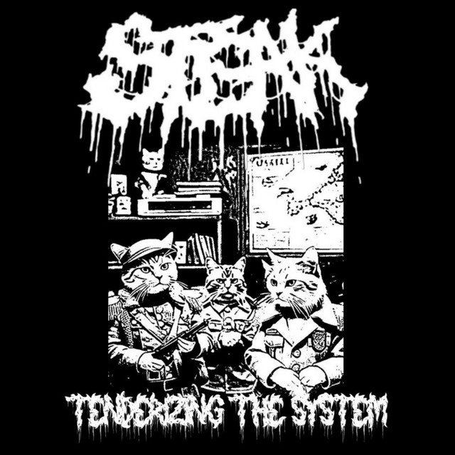 Tenderizing the System cover art