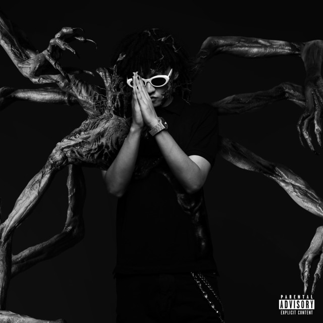 Amygdala album image