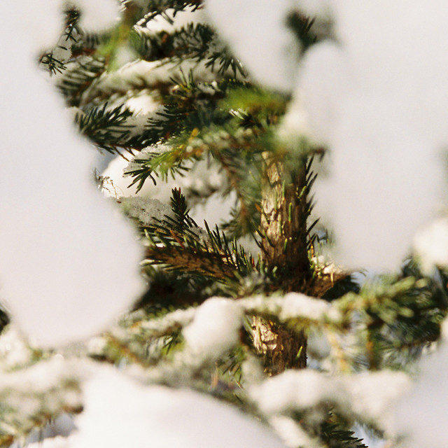 flurries cover art