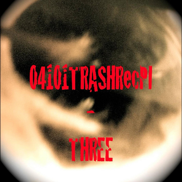 04101TrashRecPI photo