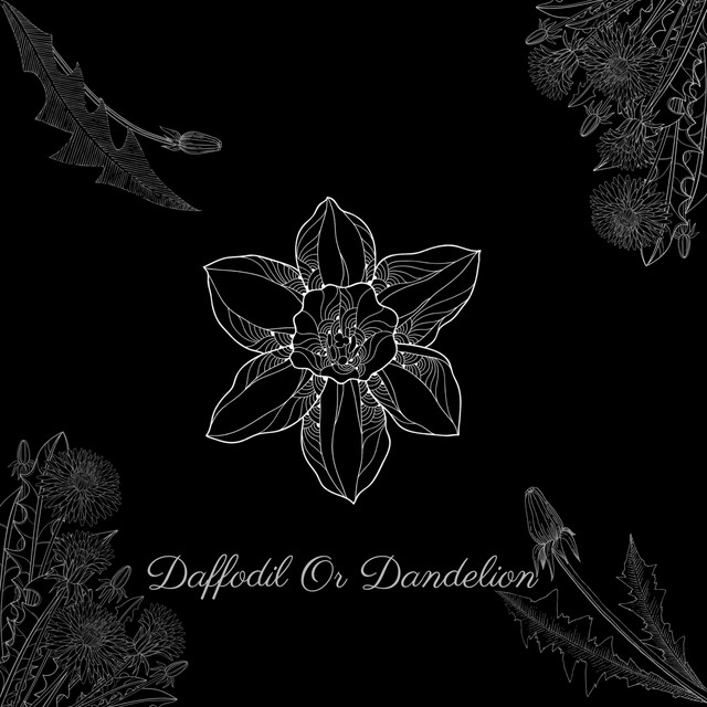 Daffodil or Dandelion - song and lyrics by Jordan Kelch | Spotify