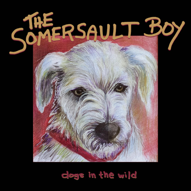 Dogs In The Wild cover