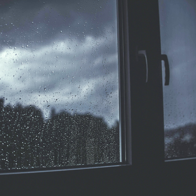 24Hr Rain: Petrichor cover art