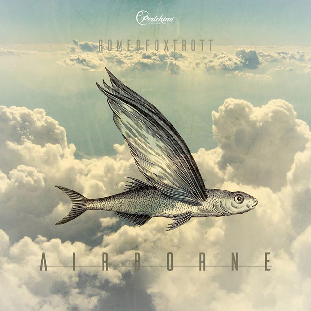 Airborne - Popp & Popp Remix cover art