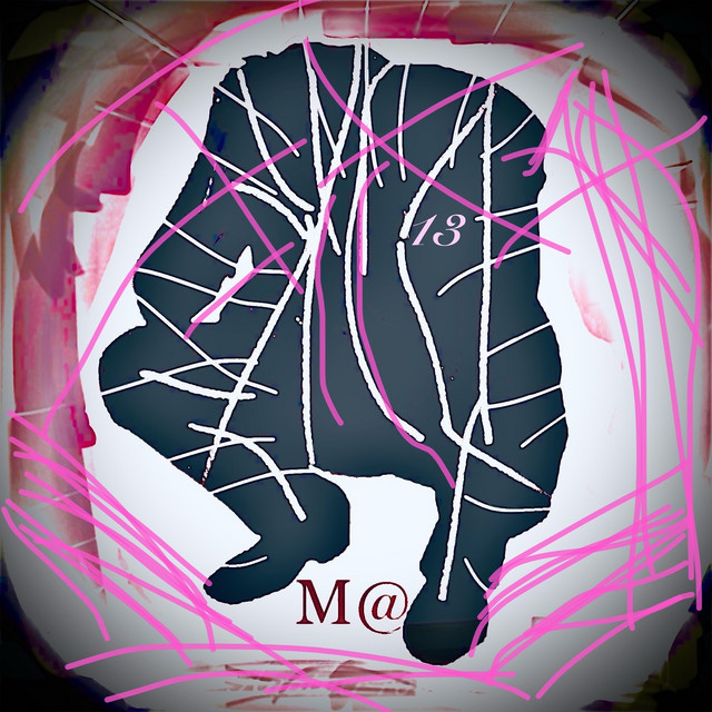 13 cover art