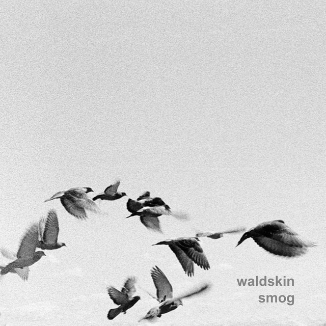 Smog