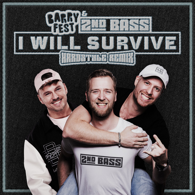 I will survive (Hardstyle Remix) cover