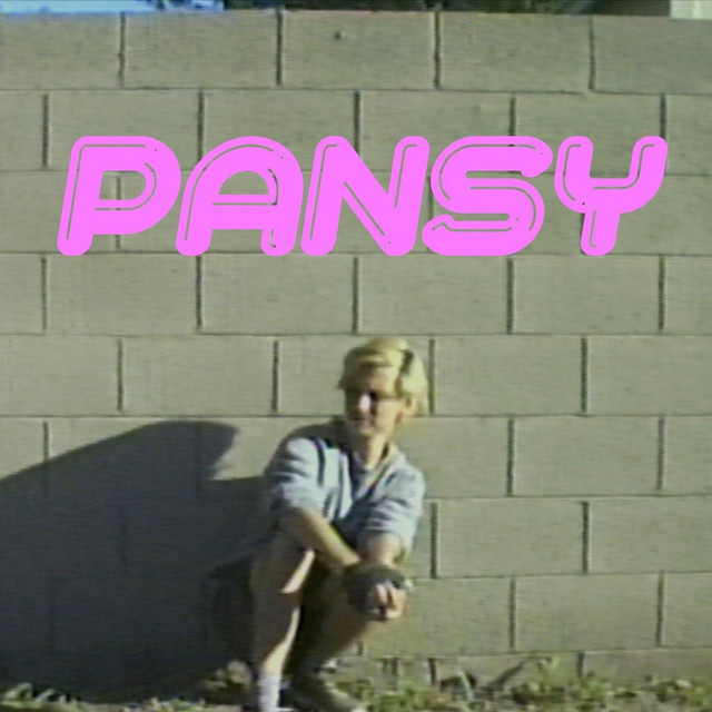 Pansy album image