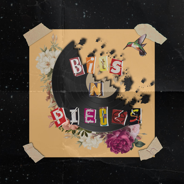 BITS N PIECES cover art