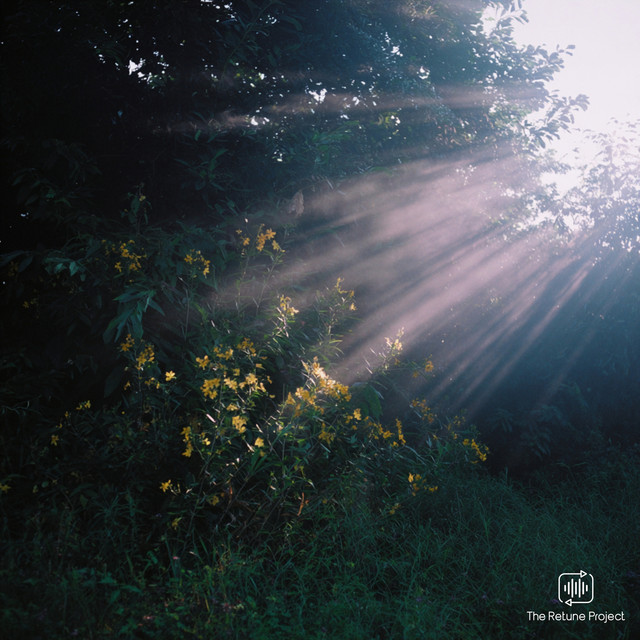Sunbeams