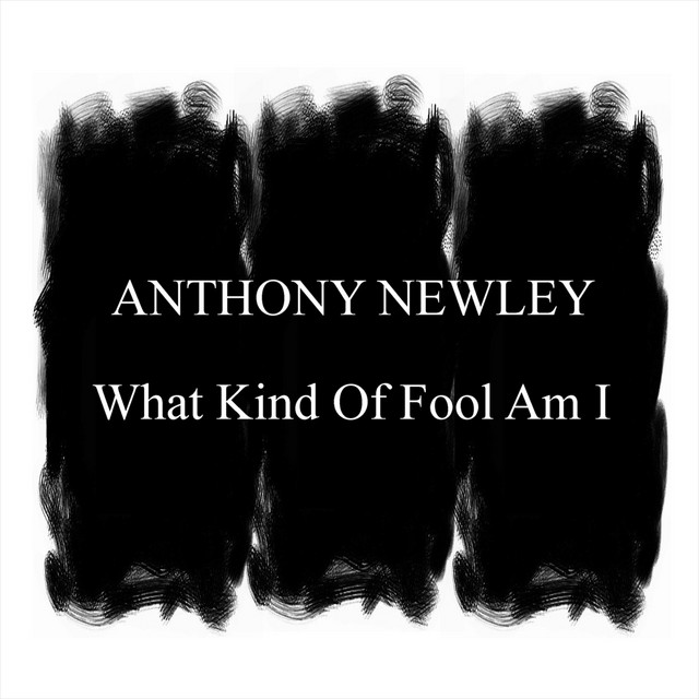 What Kind Of Fool Am I cover art