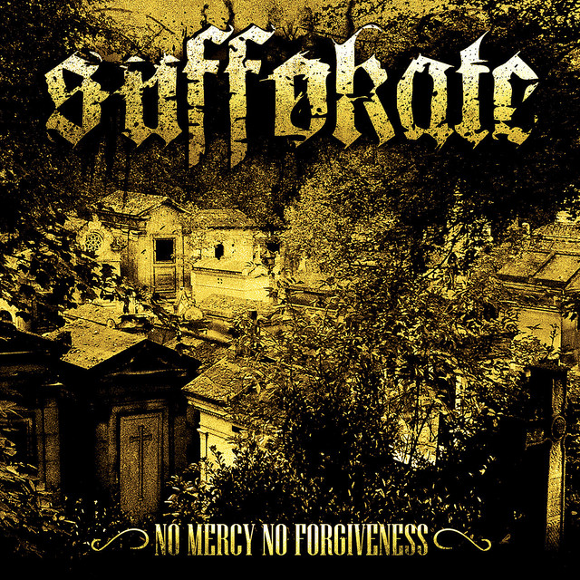 No Mercy, No Forgiveness cover art