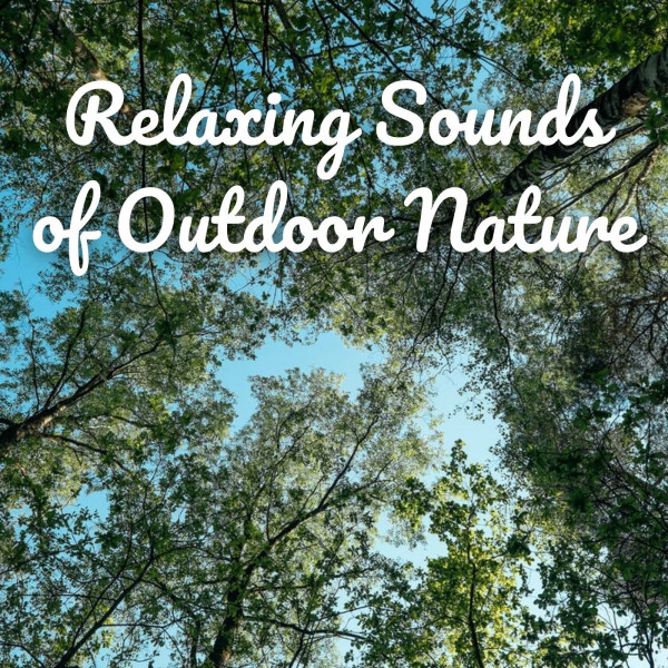Relaxing Sounds of Outdoor Nature- 3 Hours - Single by Nature Ambience ...