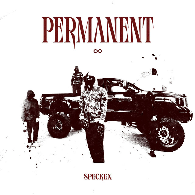PERMANENT cover art