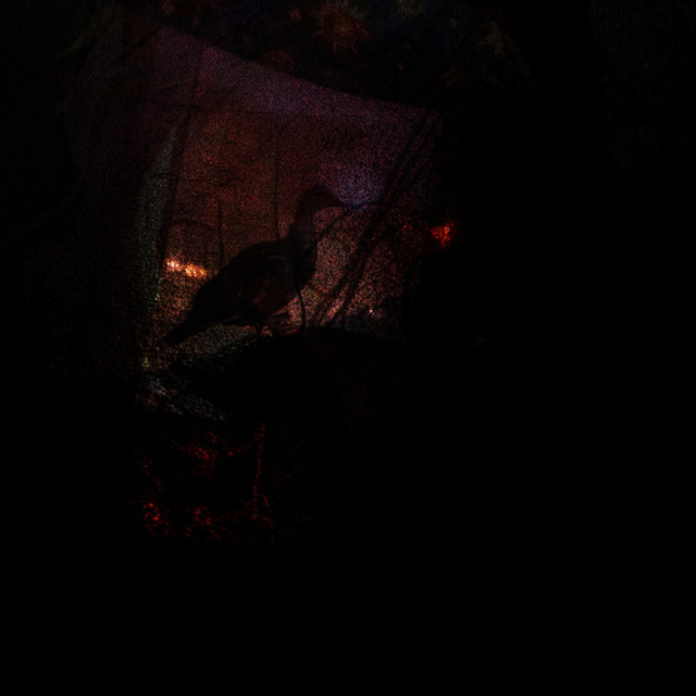 Lifria Ofilashne cover art