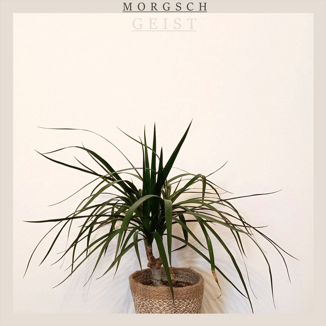 Geist cover