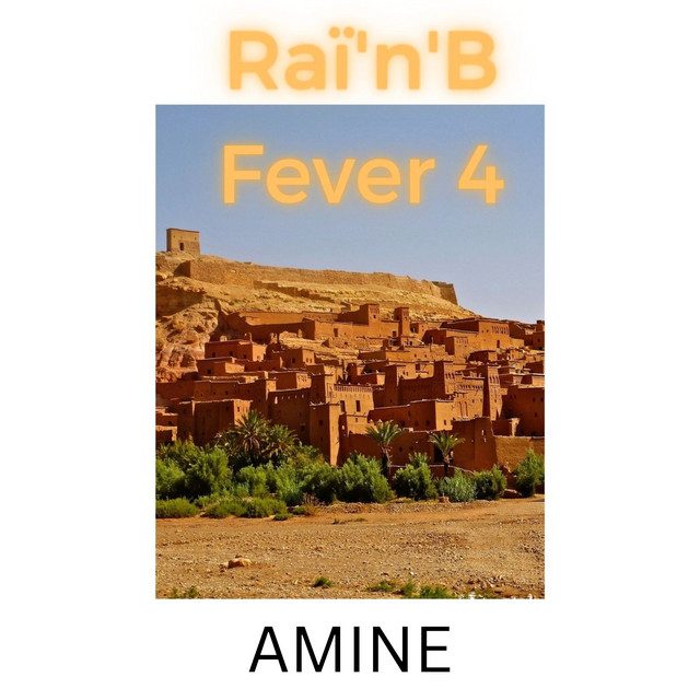 Raï'n'B Fever 4 cover art