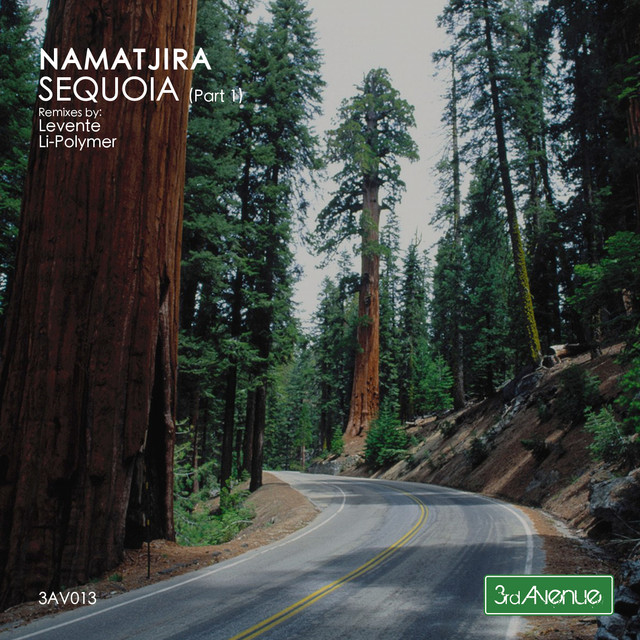 Sequoia - Levente Remix cover art