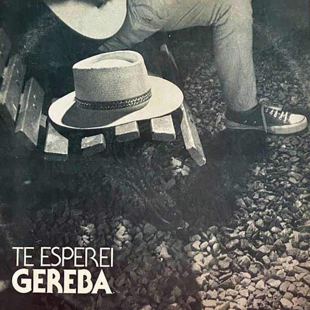 Te Esperei cover art