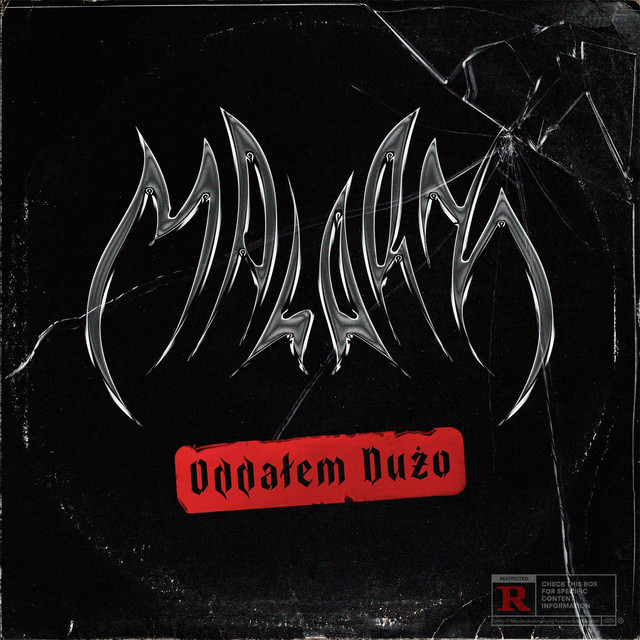Oddałem Dużo cover art
