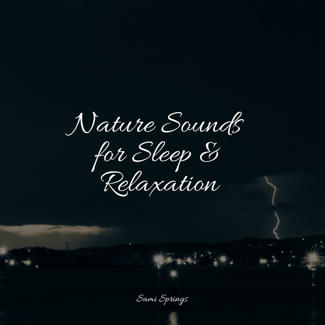 Nature Sounds for Sleep & Relaxation - Album by The Sleep Helpers | Spotify