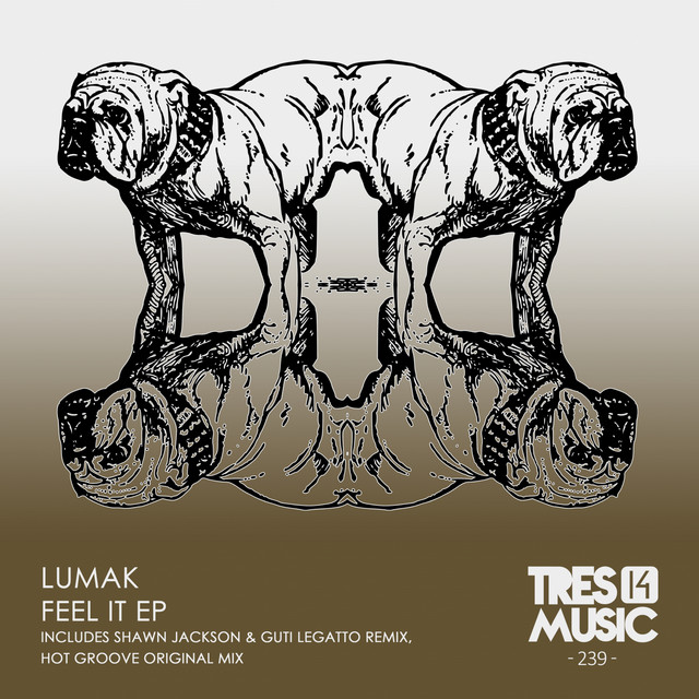 Feel it - Guti Legatto & Shawn Jackson remix album art