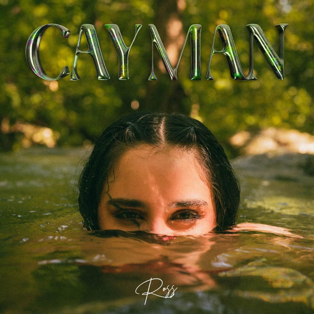 Goteando cover art
