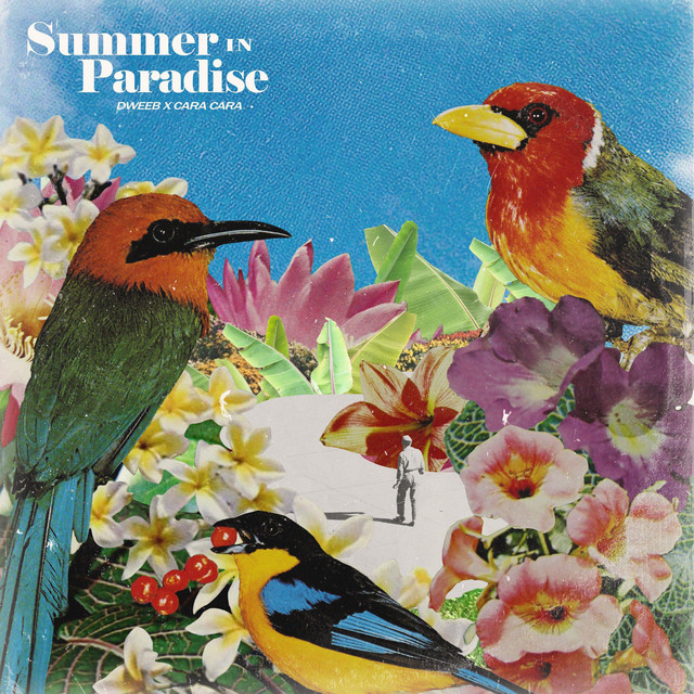 Summer in Paradise cover art