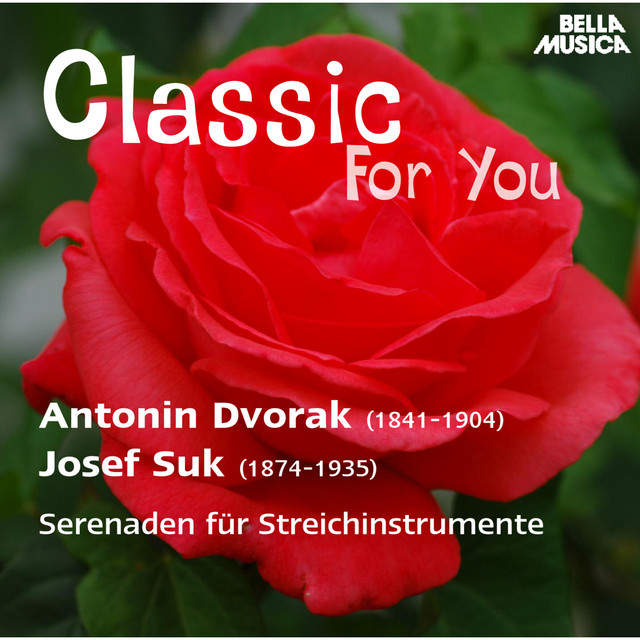 Serenade für Streichinstrumente in E-Flat Major, Op.6: I. Andante con moto