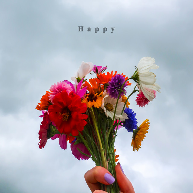 Happy cover