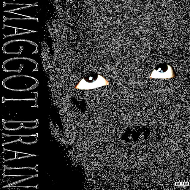 MAGGOT BRAIN cover art