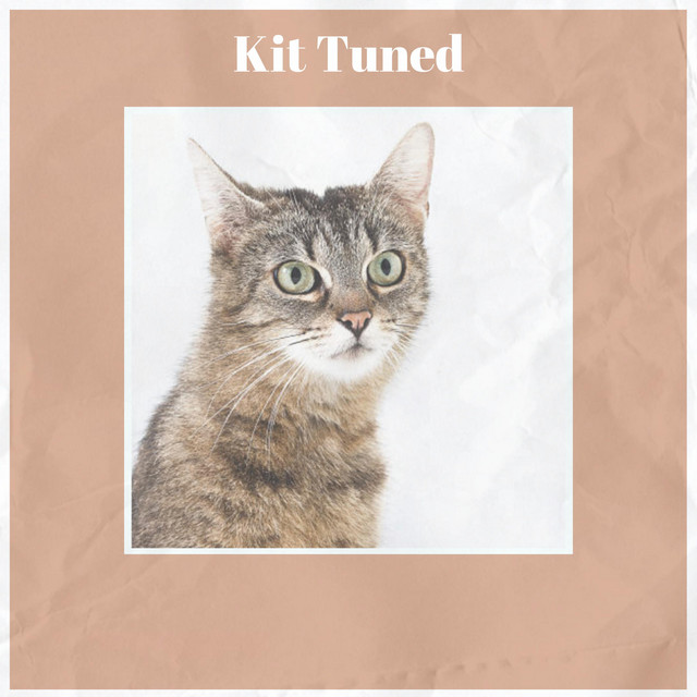 Kit Tuned - Compilation by Various Artists | Spotify