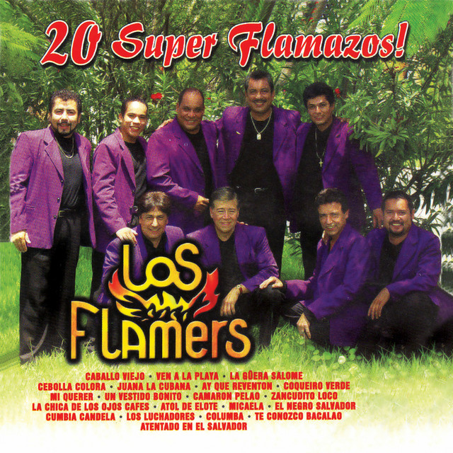 20 Super Flamazos! - Album by Los Flamers | Spotify
