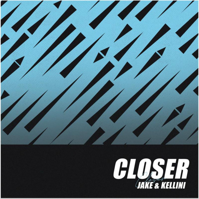 Closer cover