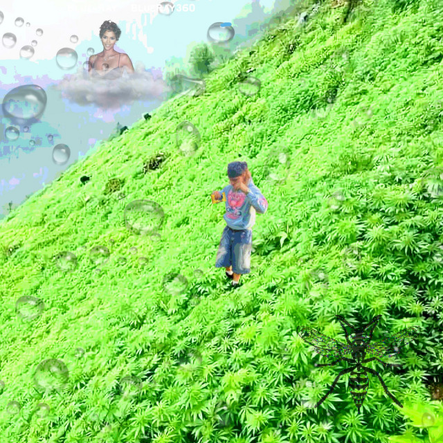 BlueRay360 cover art