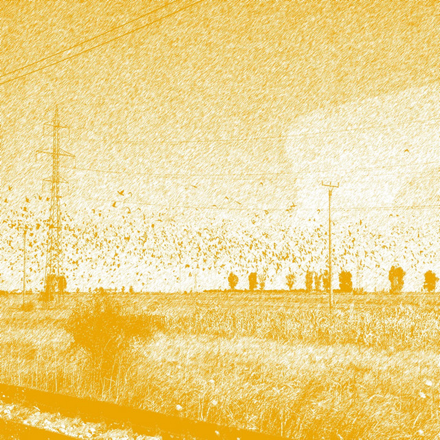 melloncholy cover art