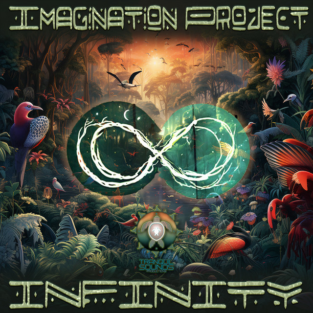 Обкладинка Imagination Project — Infinity